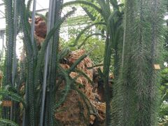 -南通洲际绿博园