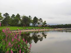 -美兰湖景区