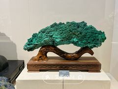 -安徽省地质博物馆