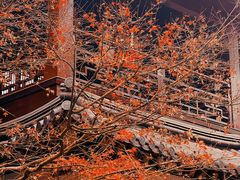 -香积寺