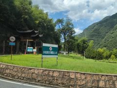 -江南天池