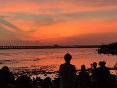 -宝安西湾红树林湿地公园