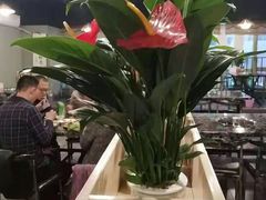 -雷山鱼酱酸汤鱼·酸汤牛肉(花果园T1区店)