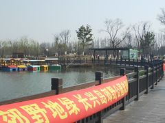 -上海长兴岛郊野公园