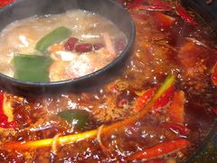 -蜀大侠火锅(建设路第五大道店)