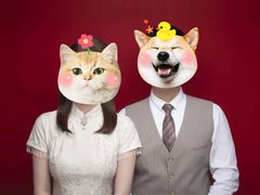 -bobo高端证件照工作室(三元桥店)
