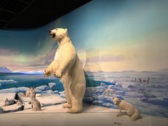 -陕西自然博物馆