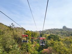 -青岛中山公园-索道售票处