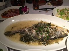 -老洋房花园饭店(绍兴路店)