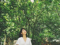 -扬美古镇景区
