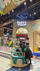 -卡通尼·超级欢乐屋(重庆渝北吾悦广场店)