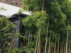 -心无尘茶餐馆(径山村店)