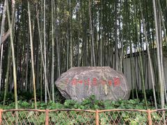 -上海醉白池公园