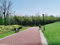 -上海山野camping·户外天幕烧烤·团建拓展营地