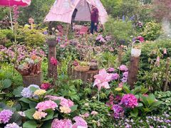 -武汉园博园(武汉自然博物馆)