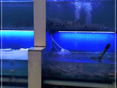 水产区-老虎滩大连海鲜烧烤(建邺云锦路总店)