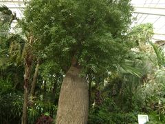 -石家庄市植物园