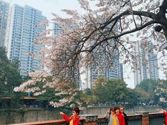 -成都市活水公园