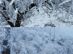 -秦岭风景区