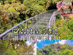 -南丹山森林王国