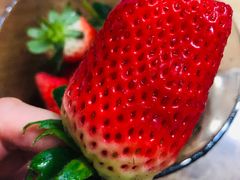 -鱼酷活鱼烤鱼(中联广场店)