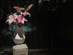 -觀芷隐轩