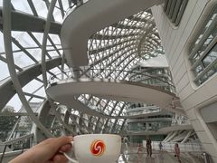 -凤凰中心