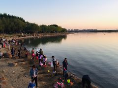 -丁香湖公园