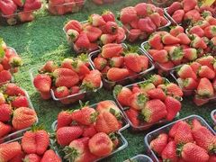 -齐齐哈尔烤肉(上海道店)