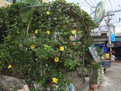 -Sasa的海(蜈支洲岛后海店)