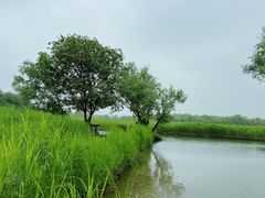 -西溪国家湿地公园