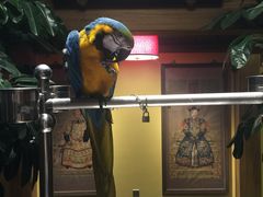 iphone_upload_pic-那家小馆•北京菜•烤鸭(中关村店)