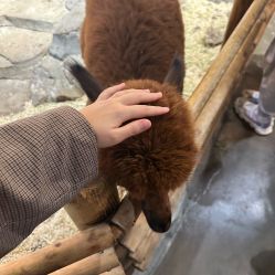 -Zoolung Zoolung动物主题公园(海信广场店)