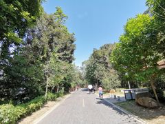 -广州市流溪河国家森林公园