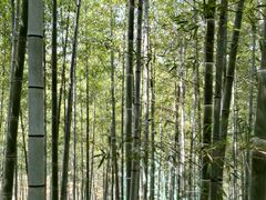 -陶祖圣境风景区