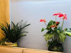 -古茗(东鼓道店)