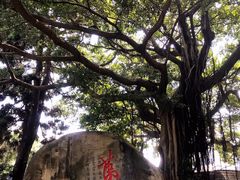 -乌山风景区