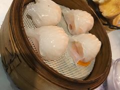 -米莱蒂亞牛排餐厅(福园广场店)