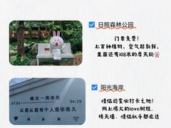 -日照灯塔风景区