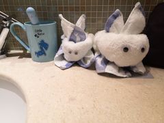 -厦门喜来登酒店