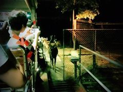 -清迈夜间动物园