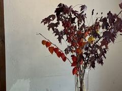 -竹子咖啡bamboo coffee