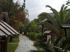 -咸宁万豪温泉谷度假区