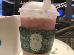 -野萃山·潮汕厚果汁(十亩地店)