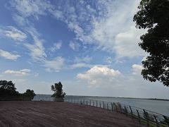-江滩湿地公园