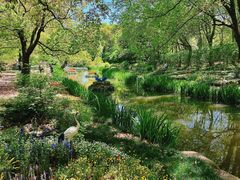 -上海共青森林公园