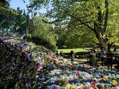 -上海共青森林公园