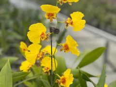 -兰陵国家农业公园