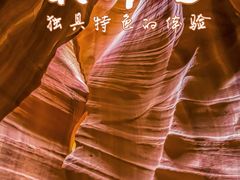 -上羚羊谷