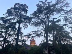 -浙江西子宾馆·瑶园咖啡厅